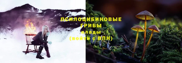не бодяженный Няндома