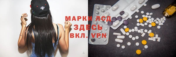 гашик Горняк