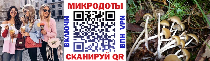 Галлюциногенные грибы GOLDEN TEACHER  купить наркоту  Арамиль 